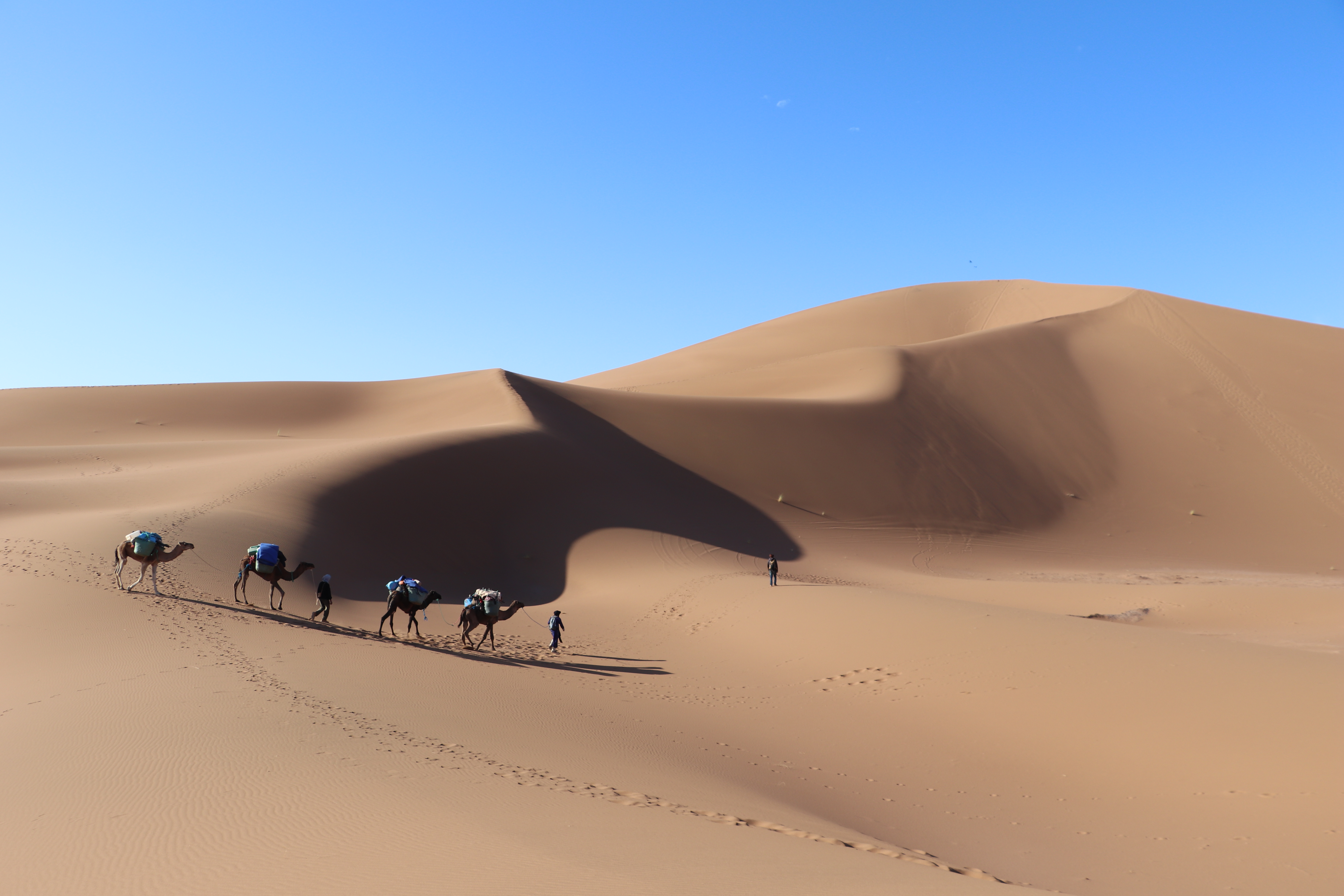 5 Days Tour From Marrakech Via Erg Chebbi, Desert Dunes In Morocco