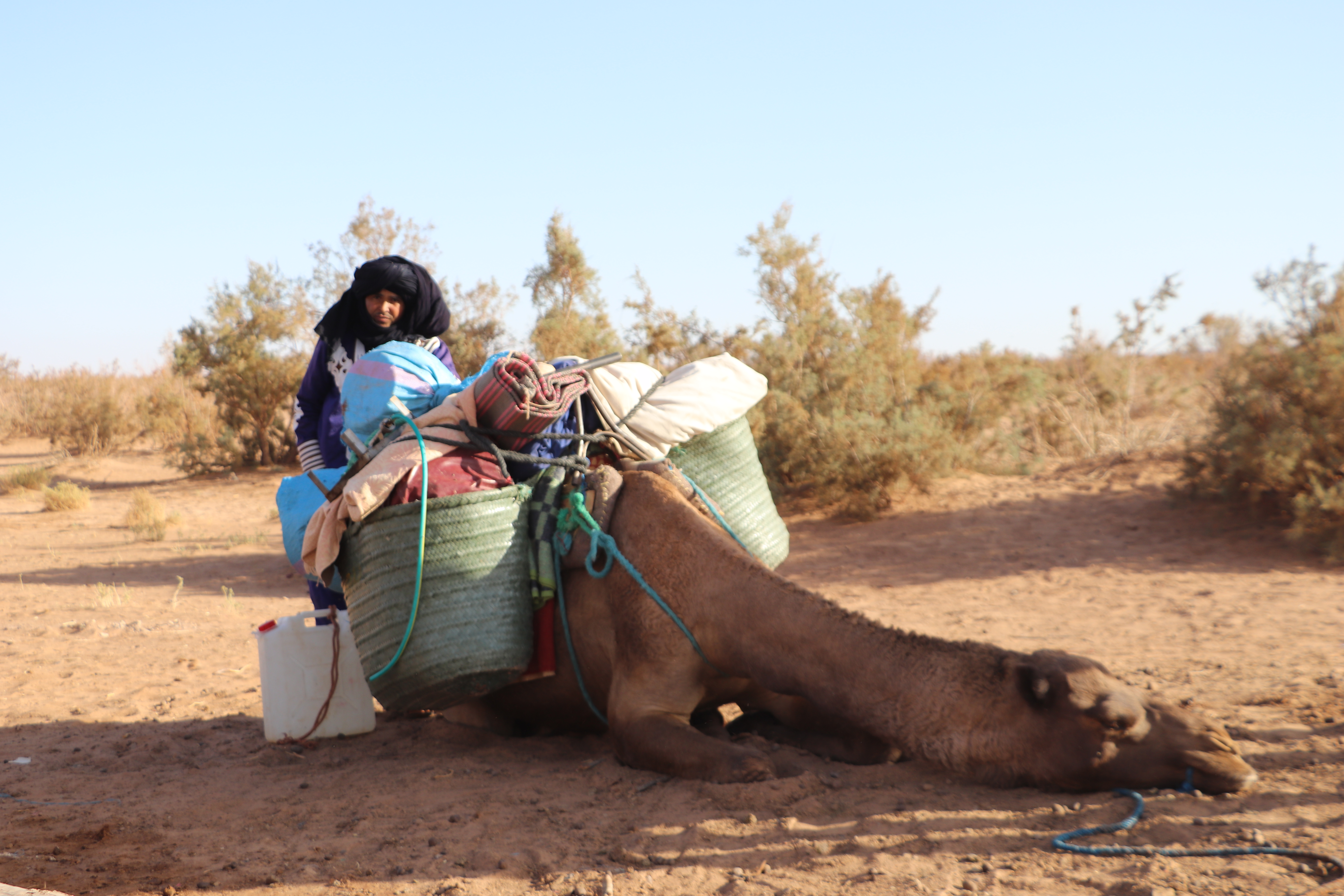 5 Days Tour From Marrakech Via Erg Chebbi, Desert Dunes In Morocco