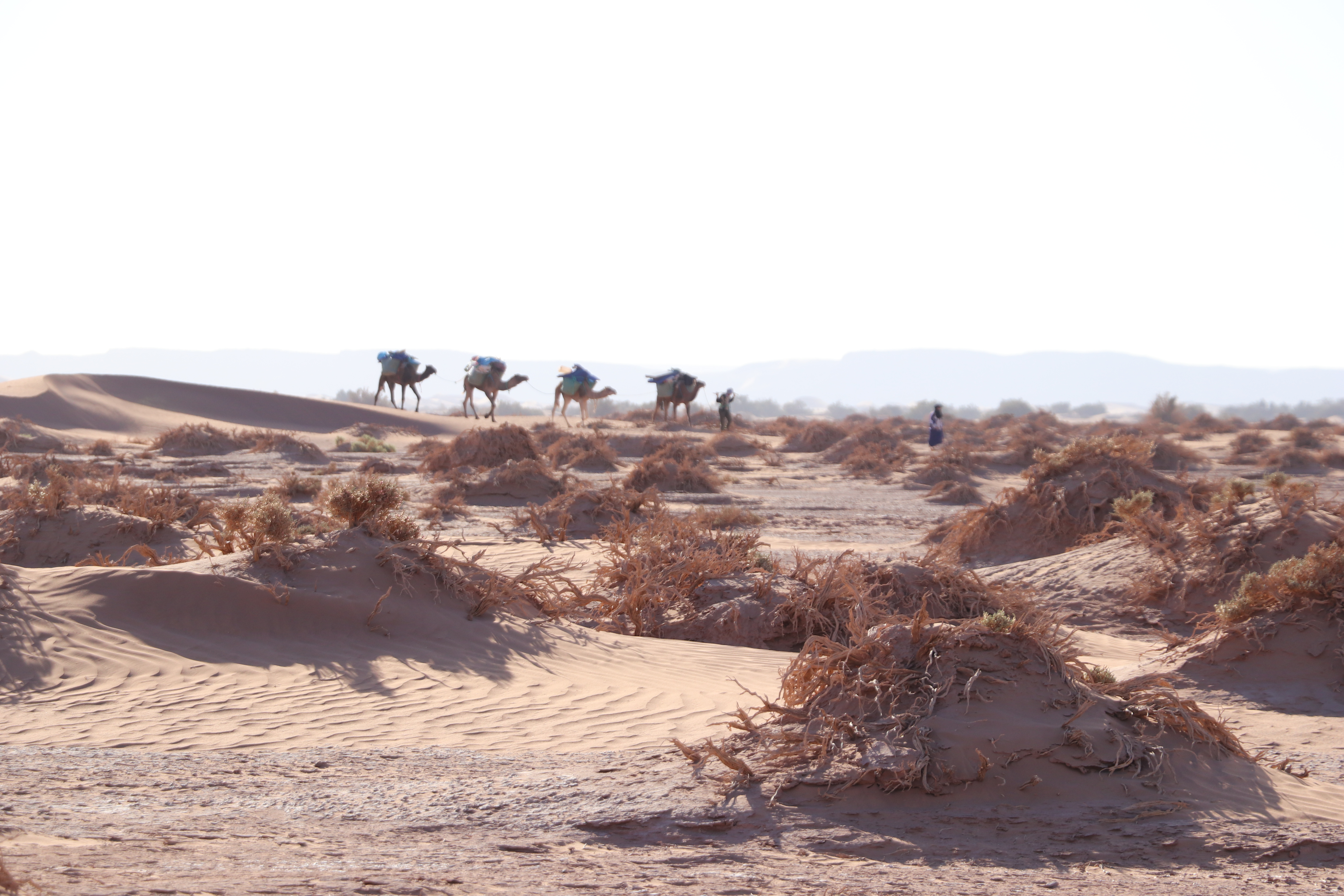 5 Days Tour From Marrakech Via Erg Chebbi, Desert Dunes In Morocco