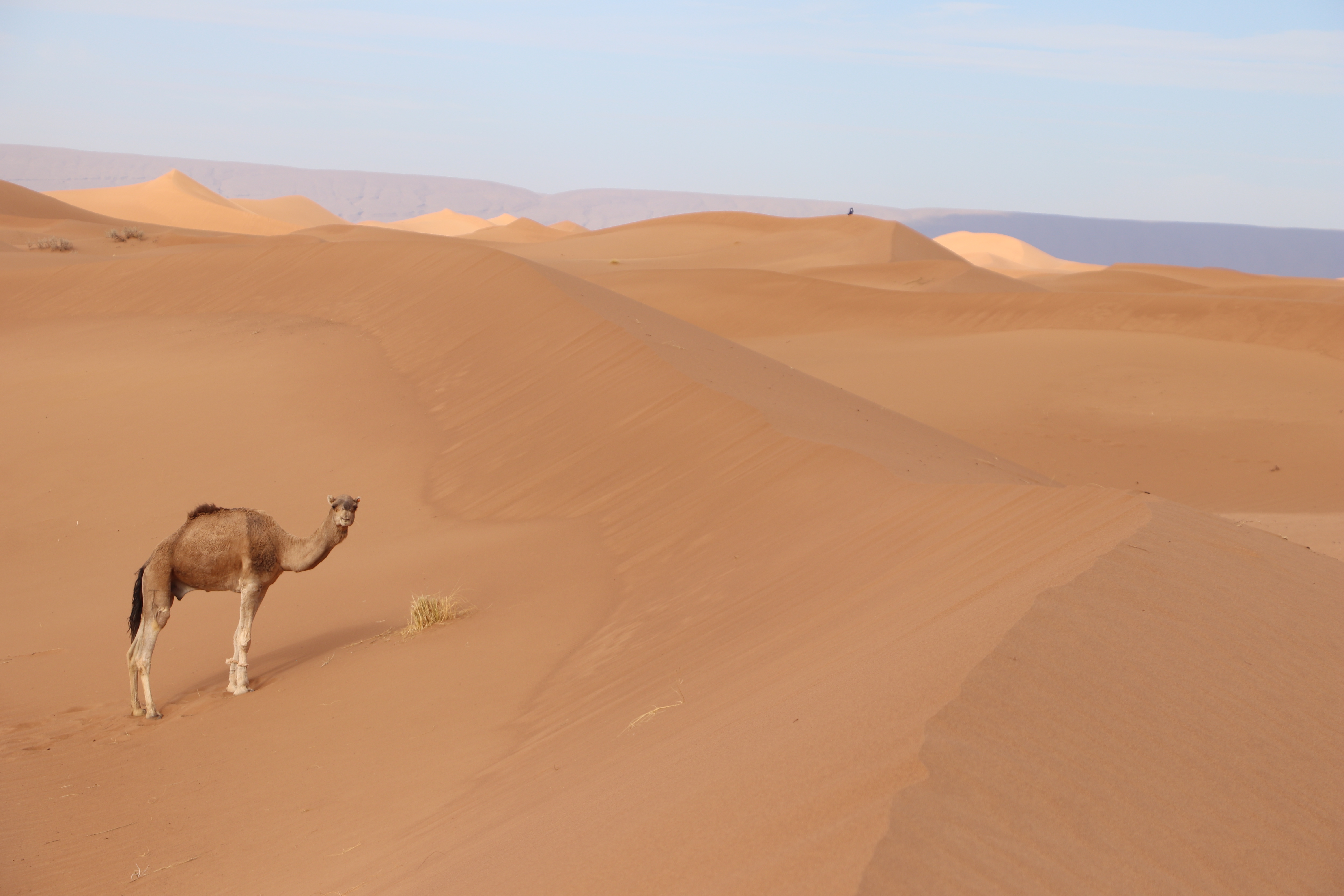 5 Days Tour From Marrakech Via Erg Chebbi, Desert Dunes In Morocco