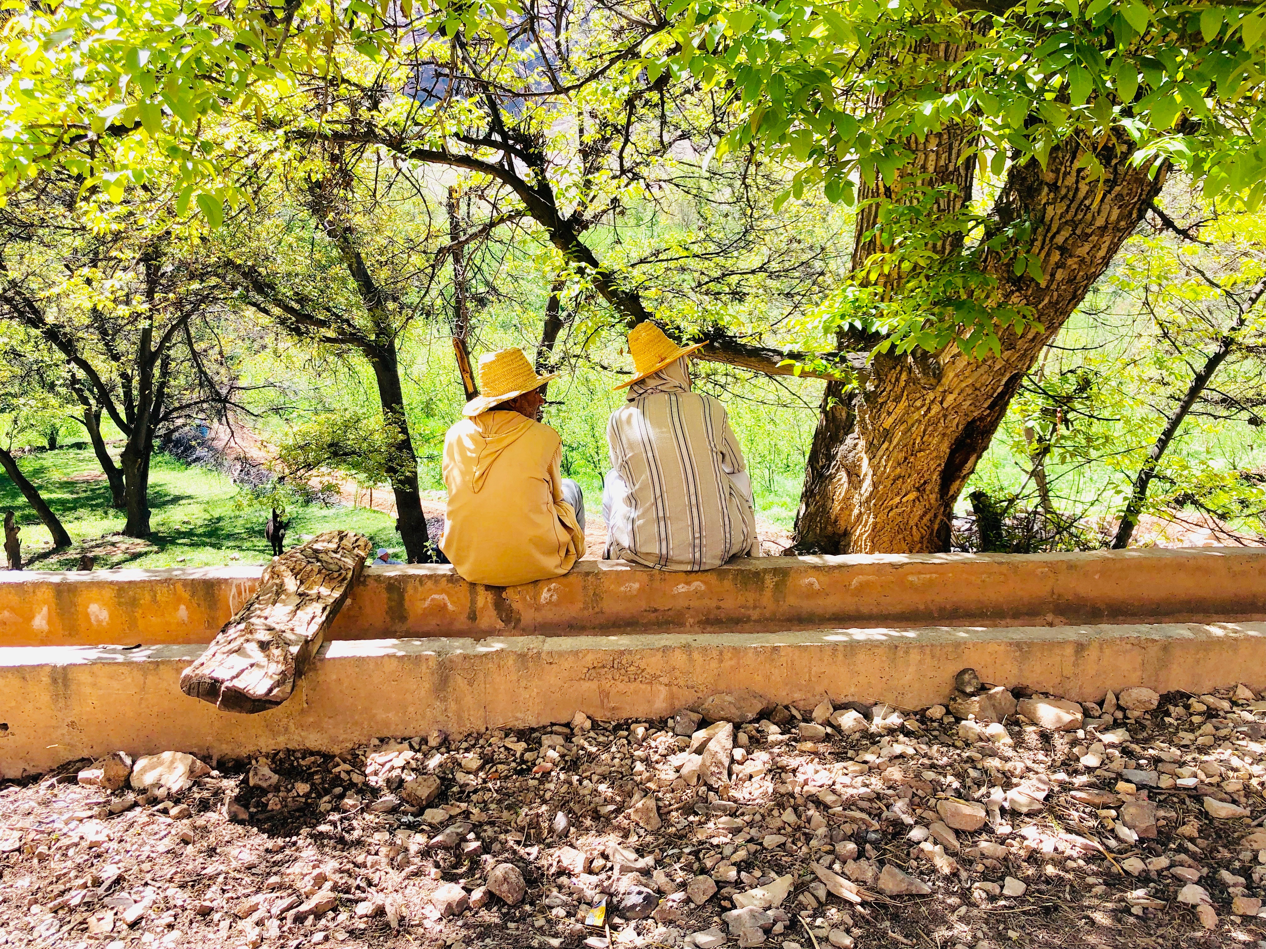 8 Days Hiking To Ait Bougmez Via Roses Valley