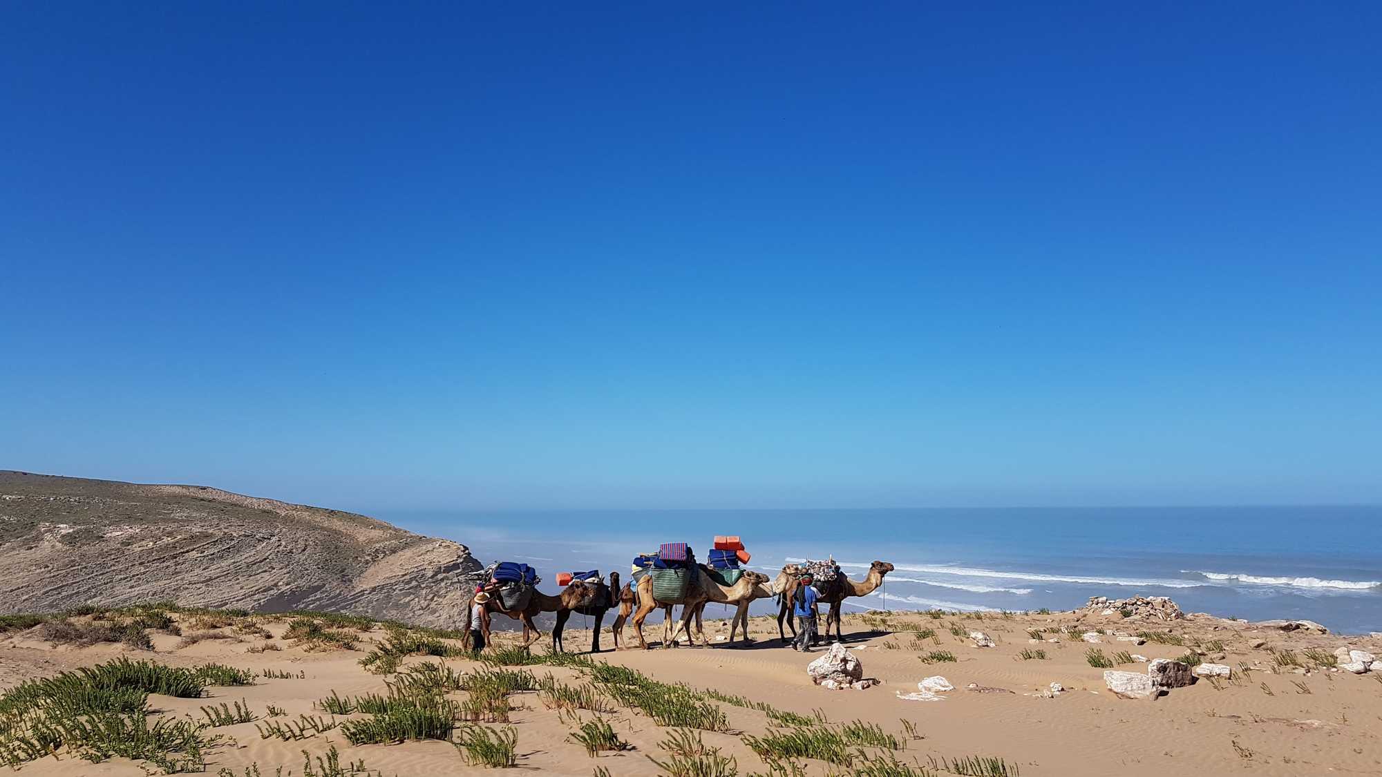 Full Day Trip To Essaouira Mogador From Marrakech