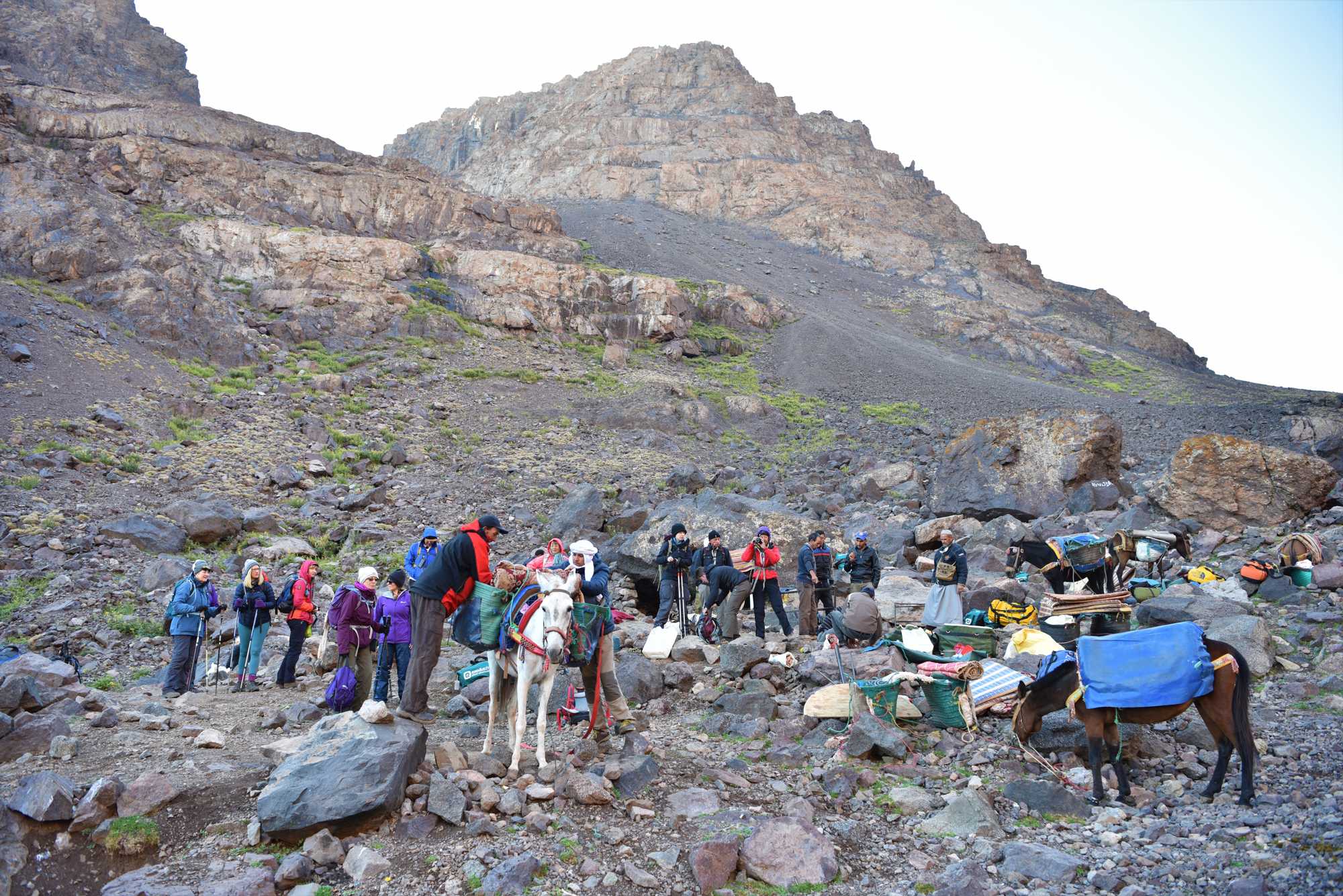 9 Days family Package Trek High Atlas & Sahara