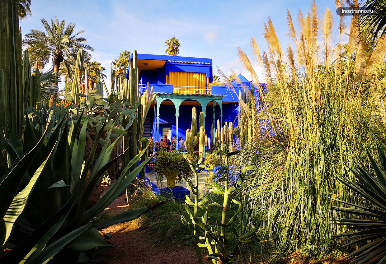 Activities and Attractions From Marrakech