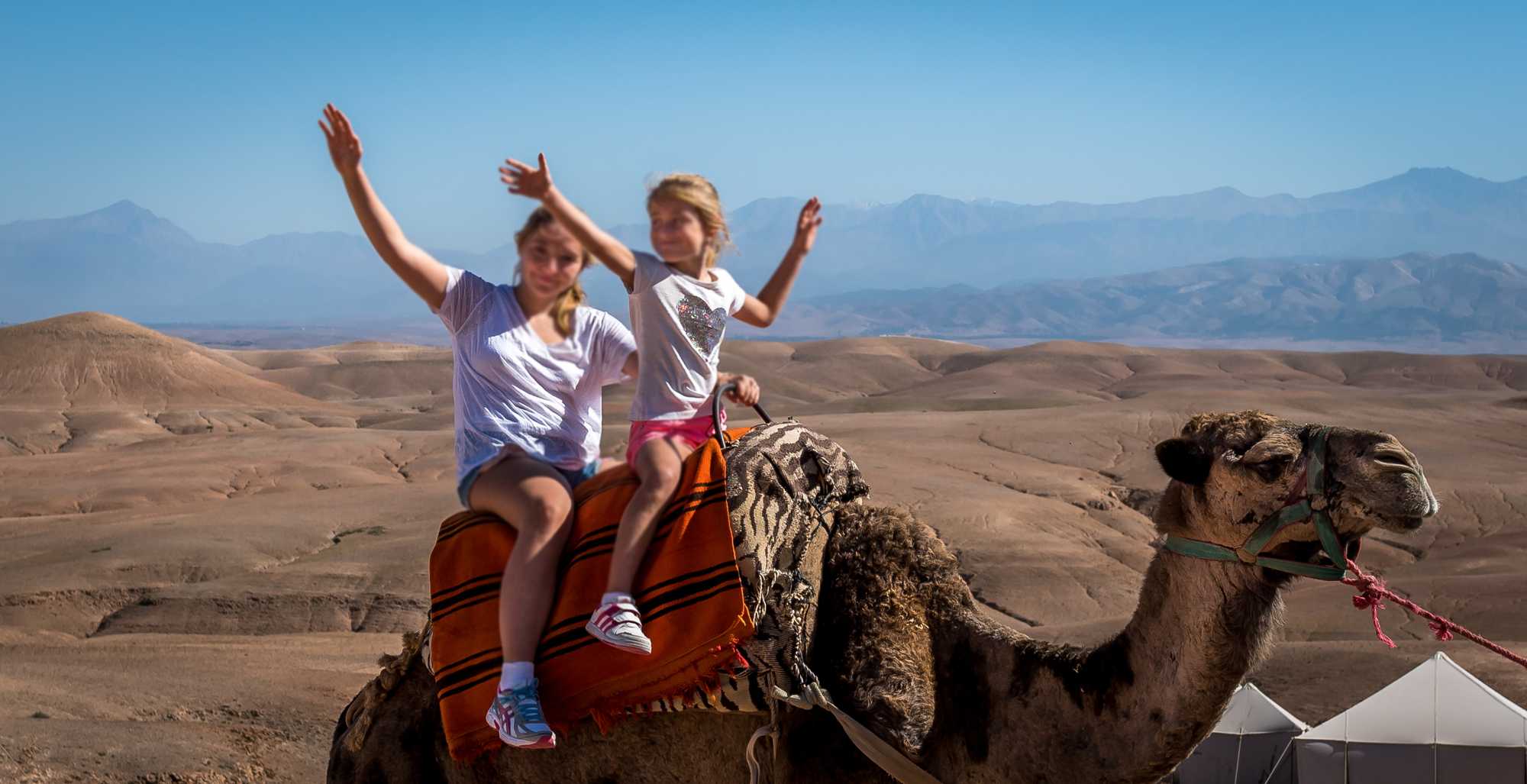 Sunset Camel Ride, Dinner In Agafay Desert